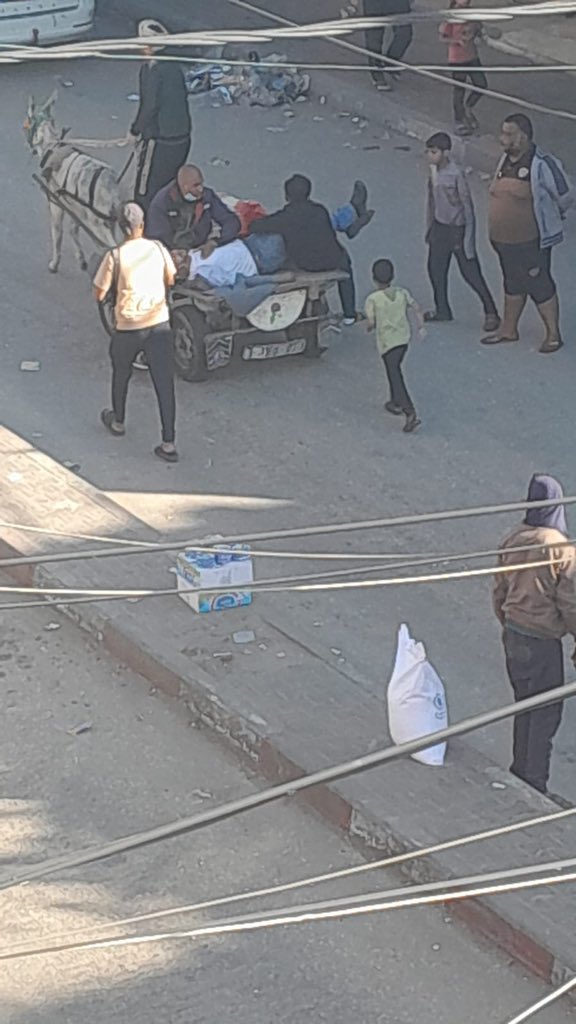 Hind_Gaza's tweet photo. This is how people in Rafah are transferring injuries by Israeli bombardment -> on donkey carts because there are no ambulances. 

Another fact about Rafah: the only hospital operating is the Kuwaiti Hospital which lacks ICU units and overwhelmed + overcrowded with patients & injuries.