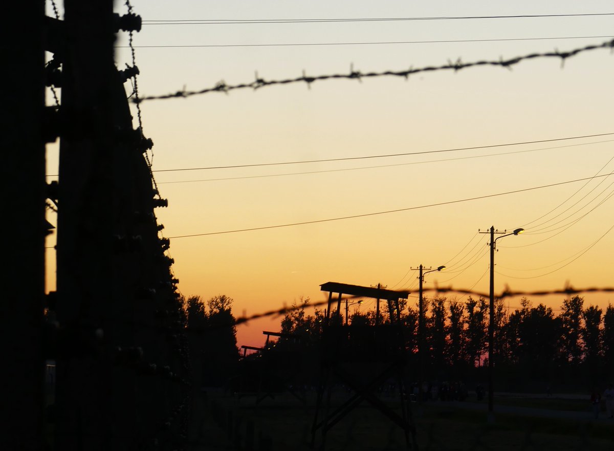 Rysslands fullskaliga invasion av Ukraina och kriget i Gaza skördar många människors liv. Vi ser hur antisemitism och islamofobi får allt mer utrymme i Europa. Idag är den internationella dagen för hågkomst av alla som omkom under andra världskriget. Låt oss också i krigsnära