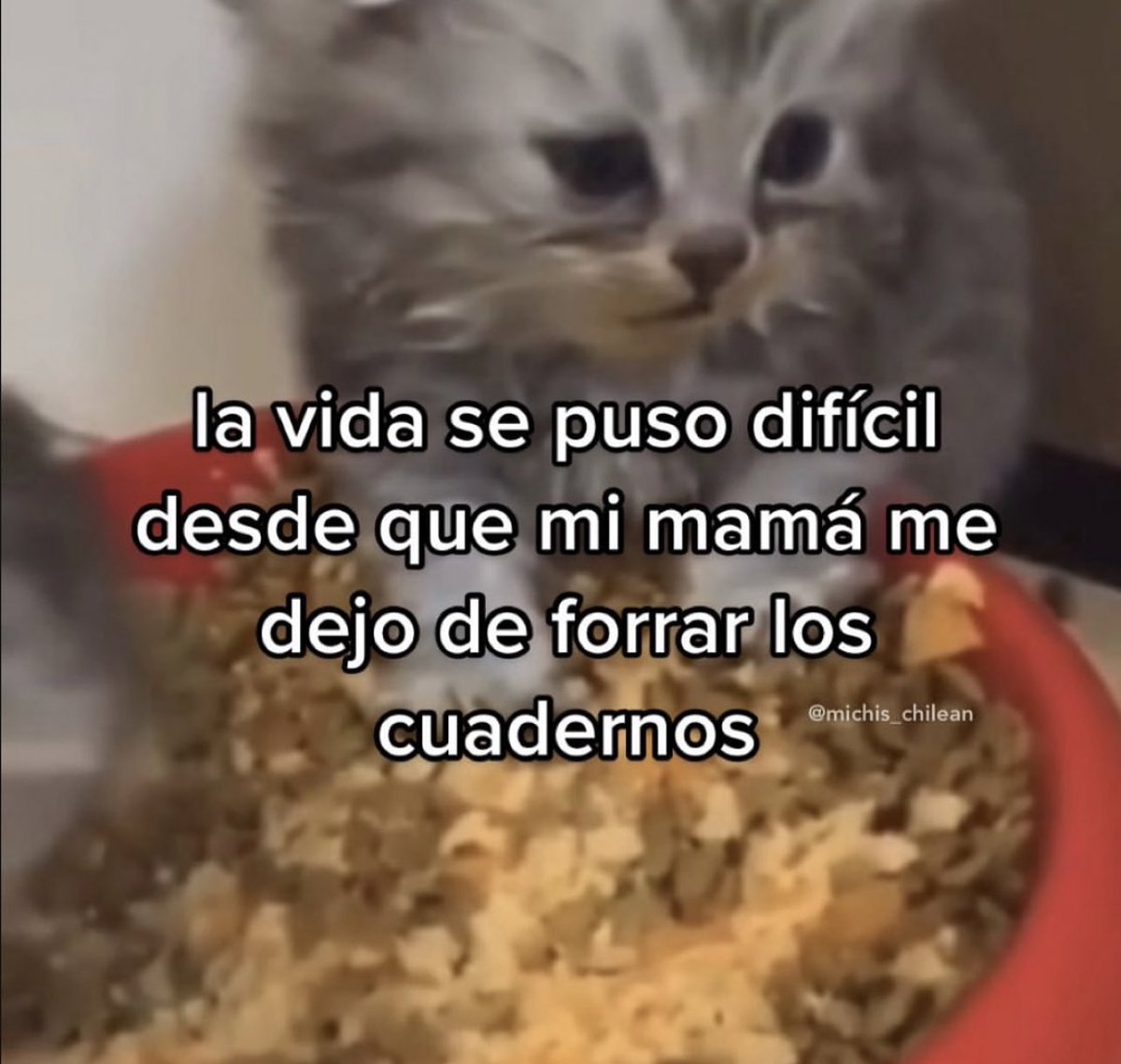 piña sin pizza (@skereunpesado) on Twitter photo 