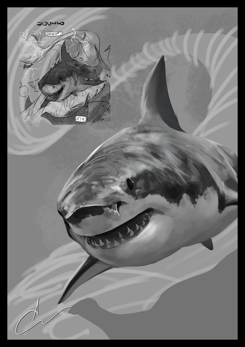 Great White Shark, personal study

#artofalessandrocalbini #study #greatwhite #greatwhitesharks #illustration