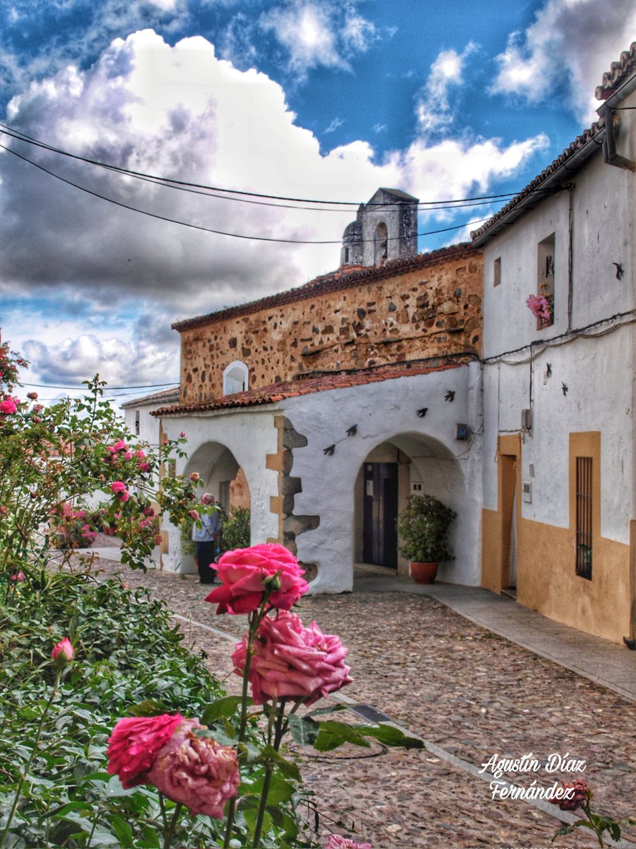 𝔄𝔤𝔲𝔰𝔱𝔦𝔫 𝔇𝔦𝔞𝔷 𝔉𝔢𝔯𝔫𝔞𝔫𝔡𝔢𝔷 tweet media