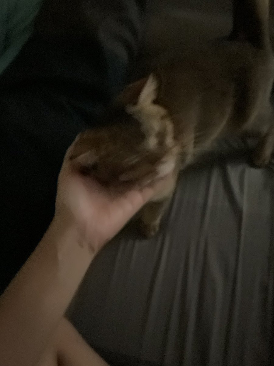 ก้อดซิล่า tweet media