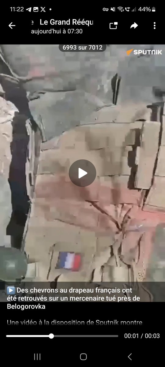 😡Des soldats avec le drapeau français 🇫🇷ont été retrouvés tué près de Belogorovka dans la République populaire de Lougansk. Je ne vous montre pas la vidéo car trop affreuse juste la photo du soldat avec l'écusson 🇲🇫