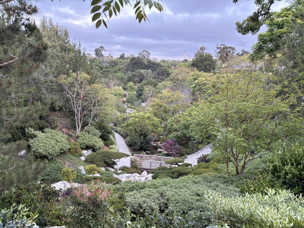 To some this may look like a picture from some kind of national park/forest. This is actually the Japanese Friendship Garden at #BalboaPark. I wasn’t able to enter and take a gander but holy smokes this garden is breathtaking 😍 #SanDiego
