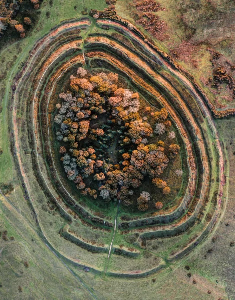 Badbury Rings by the brilliant David R Abram. #HillfortsWednesday Have a look at his website & prints here davidabram.co.uk
