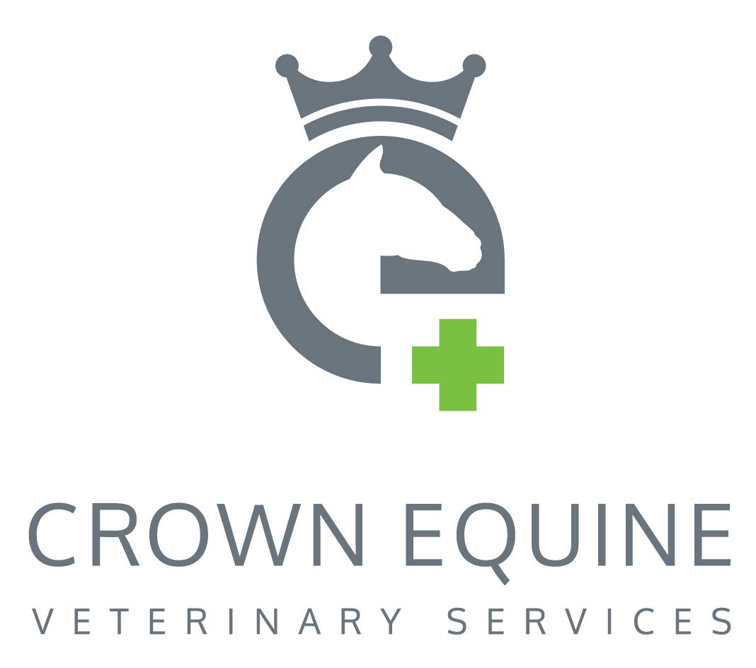 Job Opportunity Equine Veterinarian at Crown Equine - Melbourne, VIC, Australia #LoveYourVeterinaryCareer #CrownEquine #Veterinary #EquineVeterinarian #Veterinarian #Vet #VetJobs #VetCareers veterinarycareers.com.au/Jobs/equine-ve…