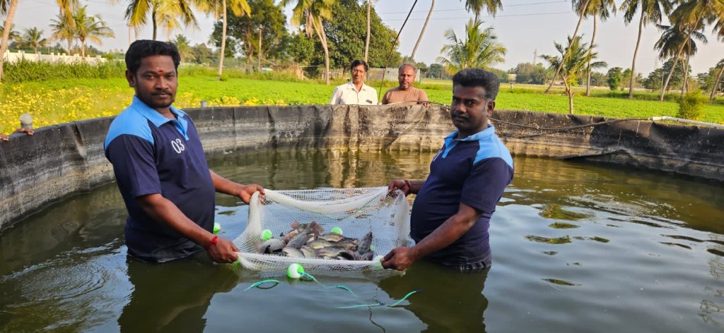 Amidst the state's water scarcity challenges, the diminishing water availability for irrigation, driven by increasing domestic demands, is a pressing concern. In response, the Fisheries Department is allocating Modular fish ponds to farmer Sebasthiyar in the Cauvery Delta region