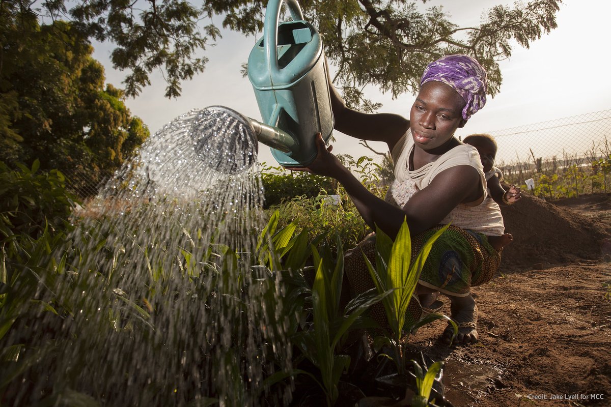 The Africa Fertilizer & Soil Health Summit brings together policymakers, private sector and partners from across Africa and internationally, including @USAID, to strengthen soil health & fertilizer use for higher farmer yields. Learn more about #AFSH24: au.int/en/AFSH-2024