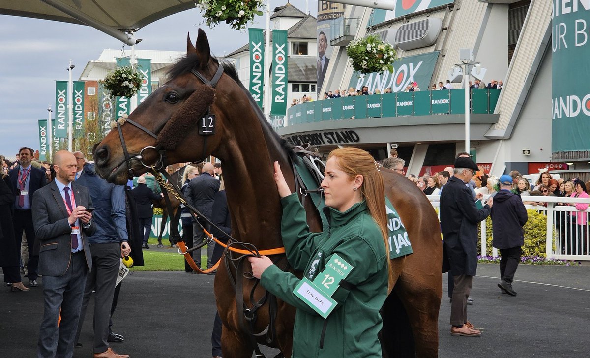 I've only just seen that Foxy Jacks was lost at Punchestown at the weekend. Absolutely gutted, and so sorry to Shannan who was always by his side 💔😞