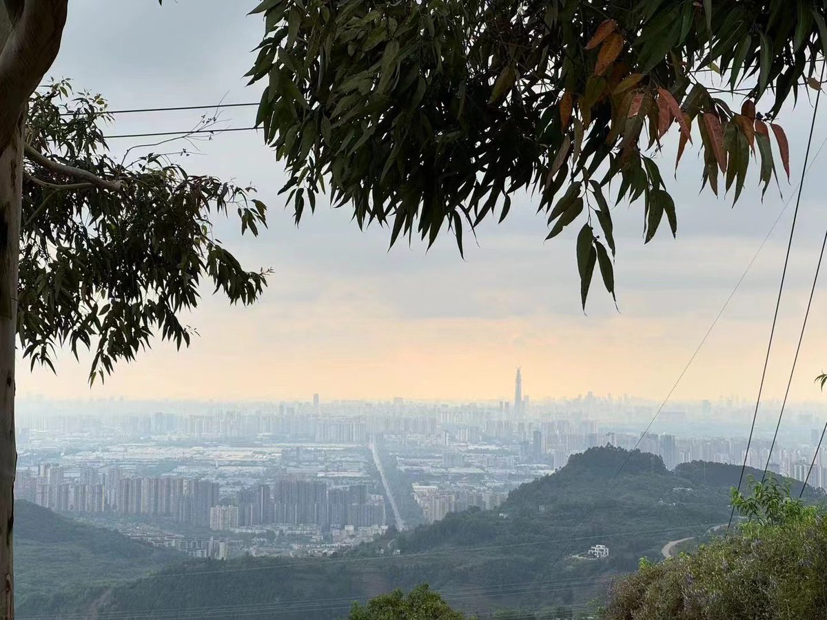 Loeycco's tweet photo. ·✨
·✨嘞是雾都
·✨
🌁🌉🌃 https://t.co/J9CaLbOSuq