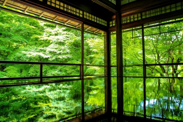 In Japan's early summer, 植物(しょくぶつ-vegetation) grows, and you'll find many 新樹(しんじゅ-trees with new leaves). The best place to see them is a 植物園(しょくぶつえん-botanical garden) or you do some 植樹(しょくじゅ-tree planting) of your own!

#Japanese #kanji #earlysummer