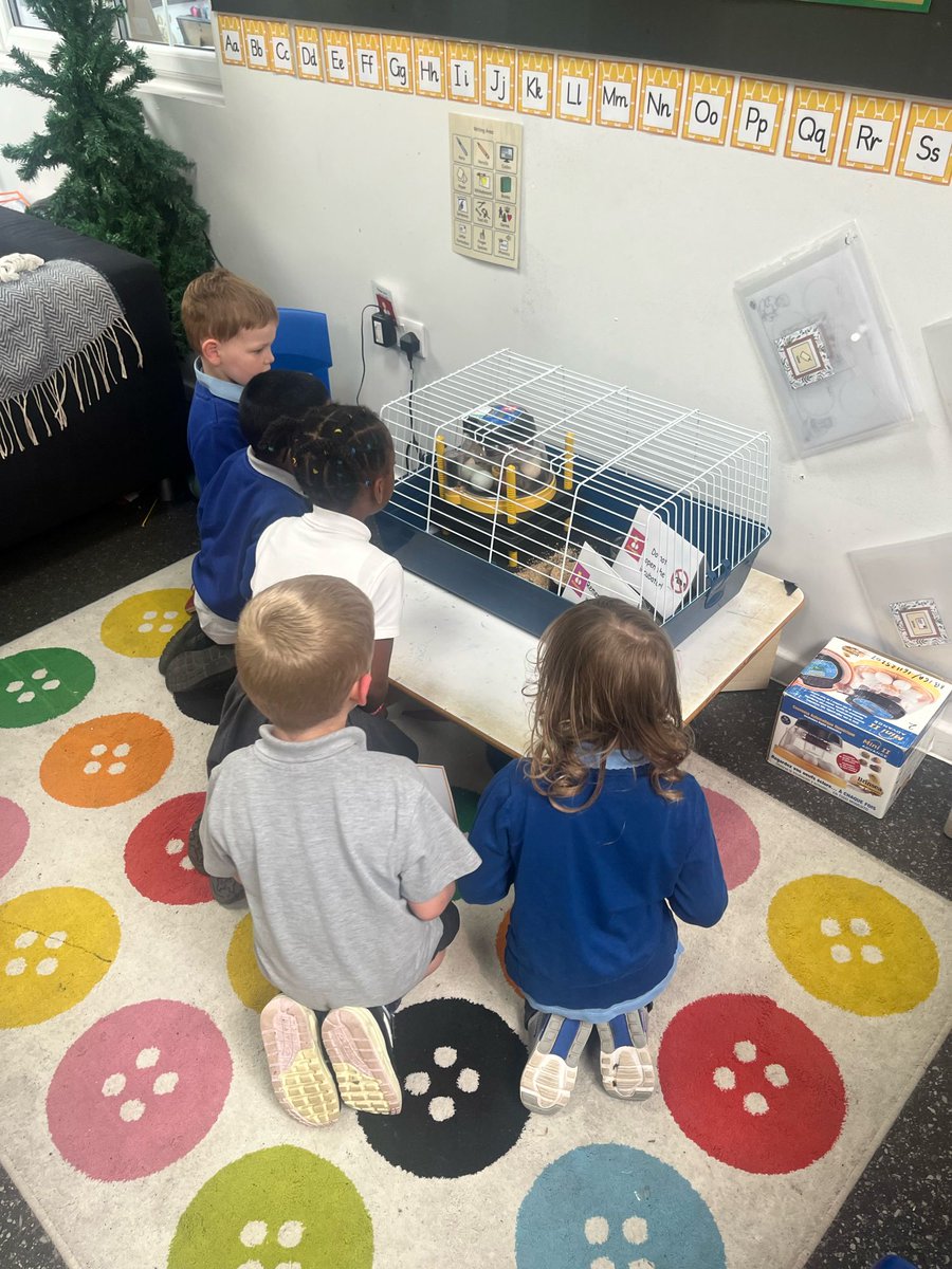 Yesterday, the children in Reception received a letter from Helen the Hen asking for help. Over the next week we will be learning all about the life-cycle of chicken as part of our immersion in our writing sequence. Stay tuned to watch the eggs hatch and see what we get up to🐓