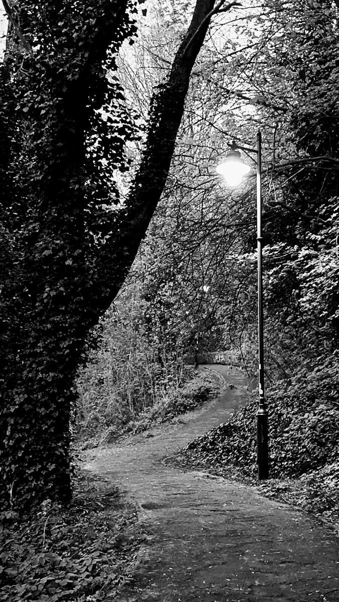 pewileman's tweet photo. Three Street Lamps in a Park. @Gateshead #RabbitBanks #RiversidePark #blackandwhitephotography https://t.co/G2BWMStJXw