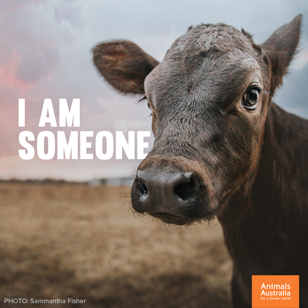 Someone who deserved a chance. Someone worth trying dairy-free for.