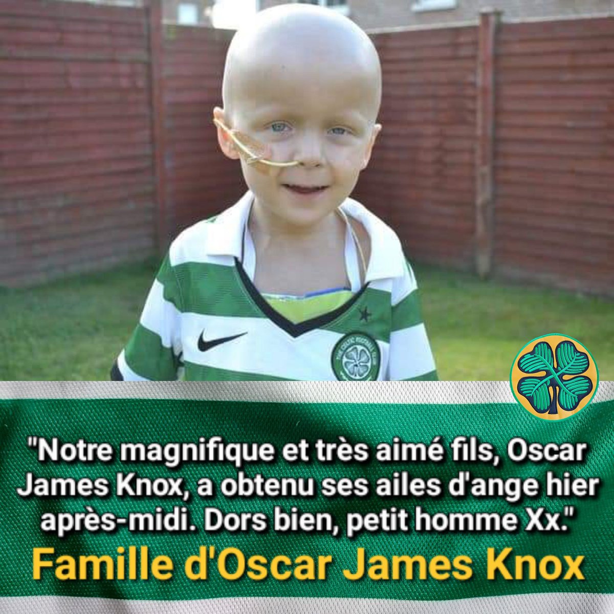 'Our beautiful amazing and much loved son Oscar James Knox gained his angel wings yest afternoon. Sleep tight little man Xx.' Family of Oscar James Knox YOU'LL NEVER WALK ALONE OSCAR💚🍀 Rest In Peace Little Angel 💚🕊🍀 #CelticFC #OscarKnox #WeeOscar #Celtic #Celts #YNWA