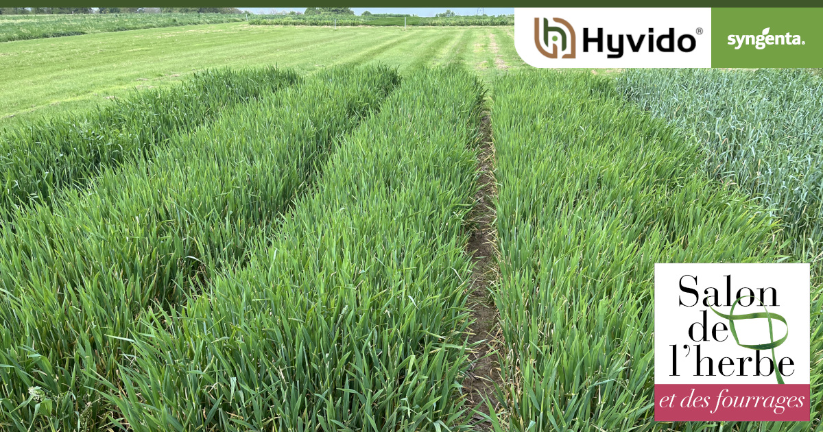 SyngentaFrance tweet media