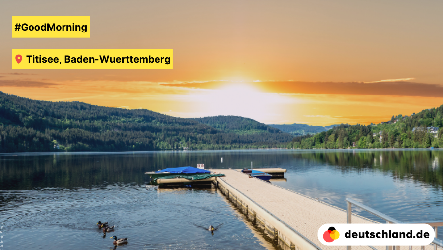 🌅 #GoodMorning from Titisee, the largest lake in the #BlackForest! 🔵 By the way, the Titisee got its beautiful rich blue colour from its formation by the #Feldberg glacier in the Pleistocene era. #PictureOfTheDay #Germany #lake