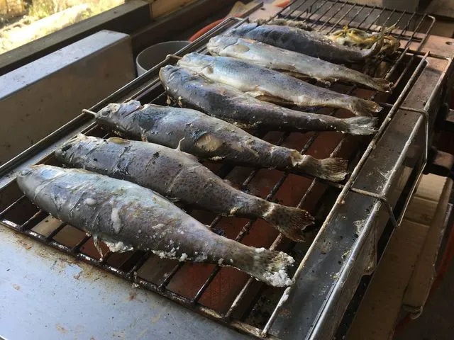 本日は富士吉田の体験施設をご紹介します。
ここ富士見つりぼりでは、ニジマスや鯉の釣り、ニジマスのつかみ取りの体験ができます。
釣った魚はその場で捌いて塩焼きにしてもらうことができるので、お子様の食育体験にも繋がります.
#富士見つりぼり　＃fujiyoshida　＃fujisan #mtfuji