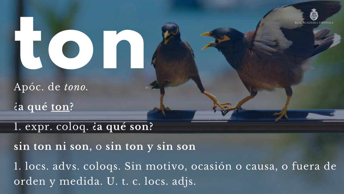 #PalabraDelDía | ton Aquí tienen un ejemplo de uso para cada expresión: «¿A qué ton esas salidas, Mario, cariño?»; «A ti siempre te ha salido todo esto de la educación por una friolera, y no. Como eso de saludar en la calle sin ton ni son». ¿Intuyen a qué obra pertenecen?