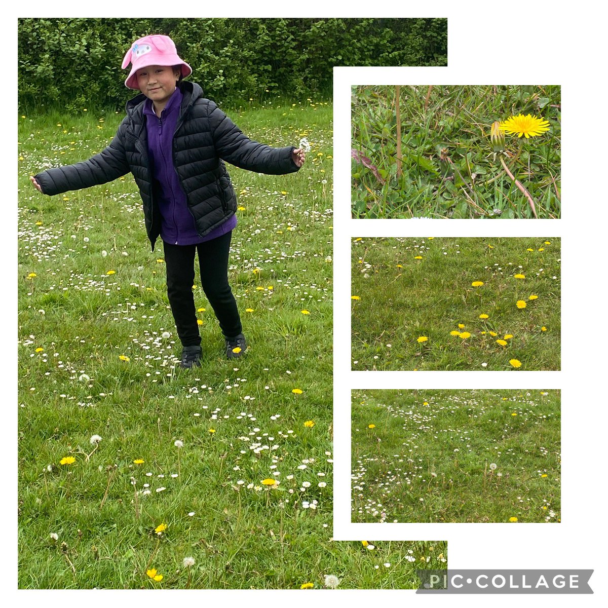 WW_Buckley's tweet photo. Itβs for Them.
Will you l leave the grass to grow and support wildlife? Check
out the βItβs for Themβ resources online and join in.
@WelshGovernment @BritishWild @Flintshire @WildlifeTrusts @united4wildlife @savebutterflies #beekind #itsforthem @CarolynPreece6 @CThomasMS https://t.co/OoVwxrLN8I