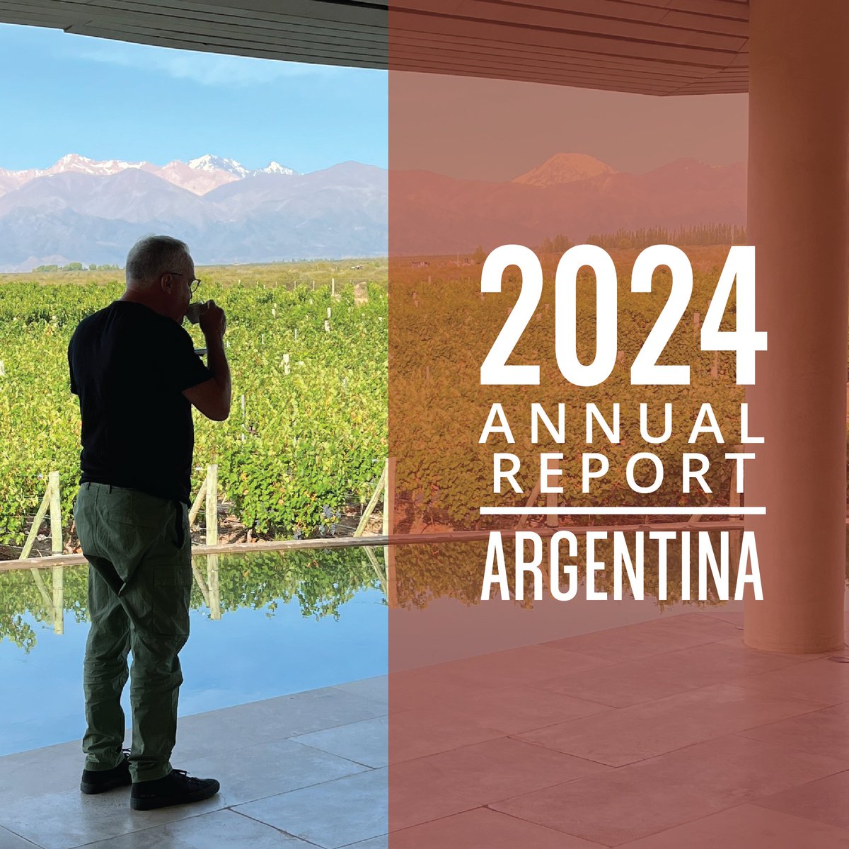 Our Argentina Annual Report has over 2,200 wine ratings. It highlights how Argentine winemakers are moving towards wines more focused on drinkability, harmony and true terroir representation, creating bottles that are more balanced in character. Read more: jamessuckling.com/wine-tasting-r…
