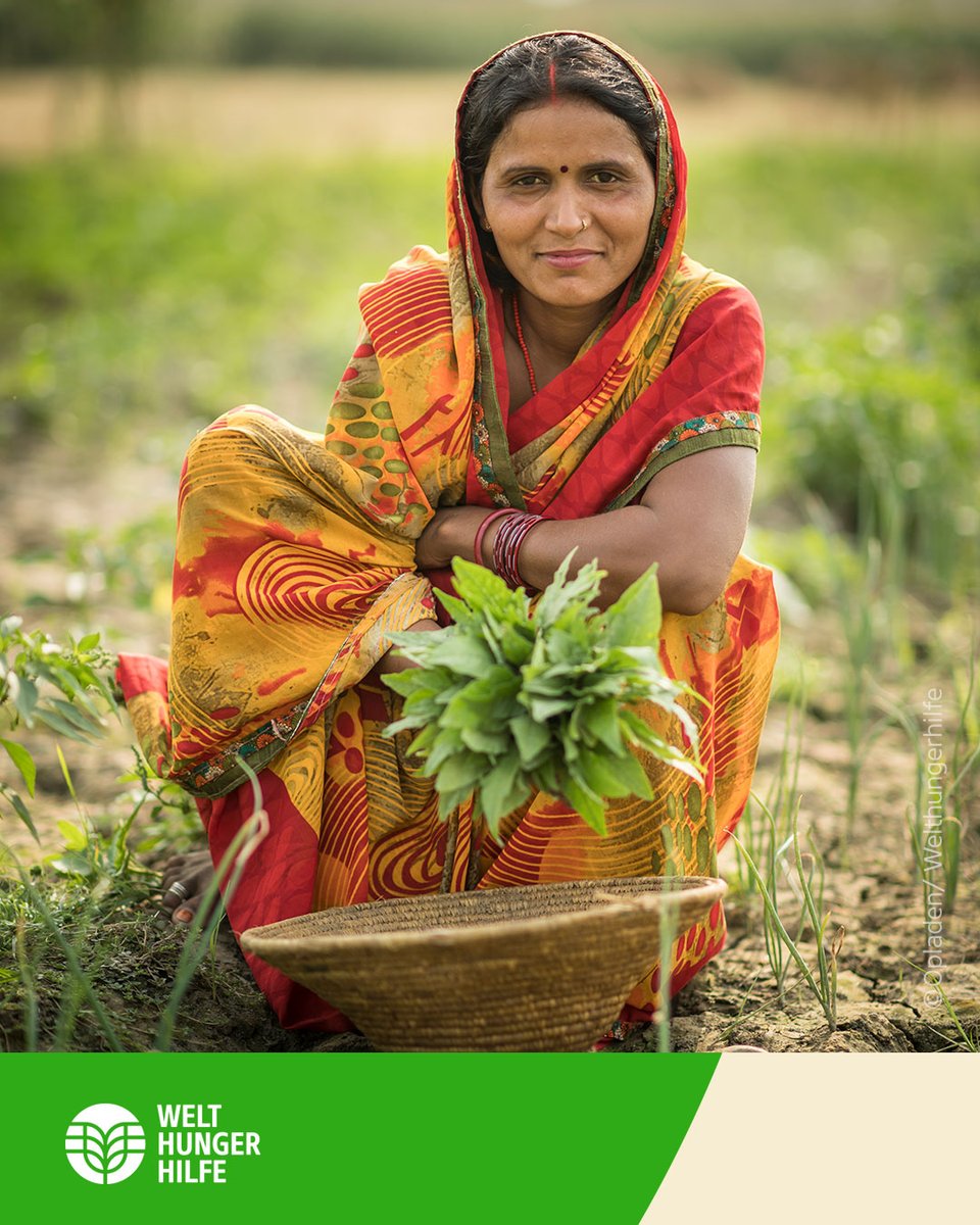 In Südasien arbeiten 7 von 10 erwerbstätigen Frauen in der Landwirtschaft. Doch vielen fehlt gleichberechtigter Zugang zu Ressourcen. Um die Gleichstellung der Geschlechter im Ernährungssektor geht es heute bei einem Fachgespräch von @KfW_FZ_int, @WWF_Deutschland & WHH in Berlin.