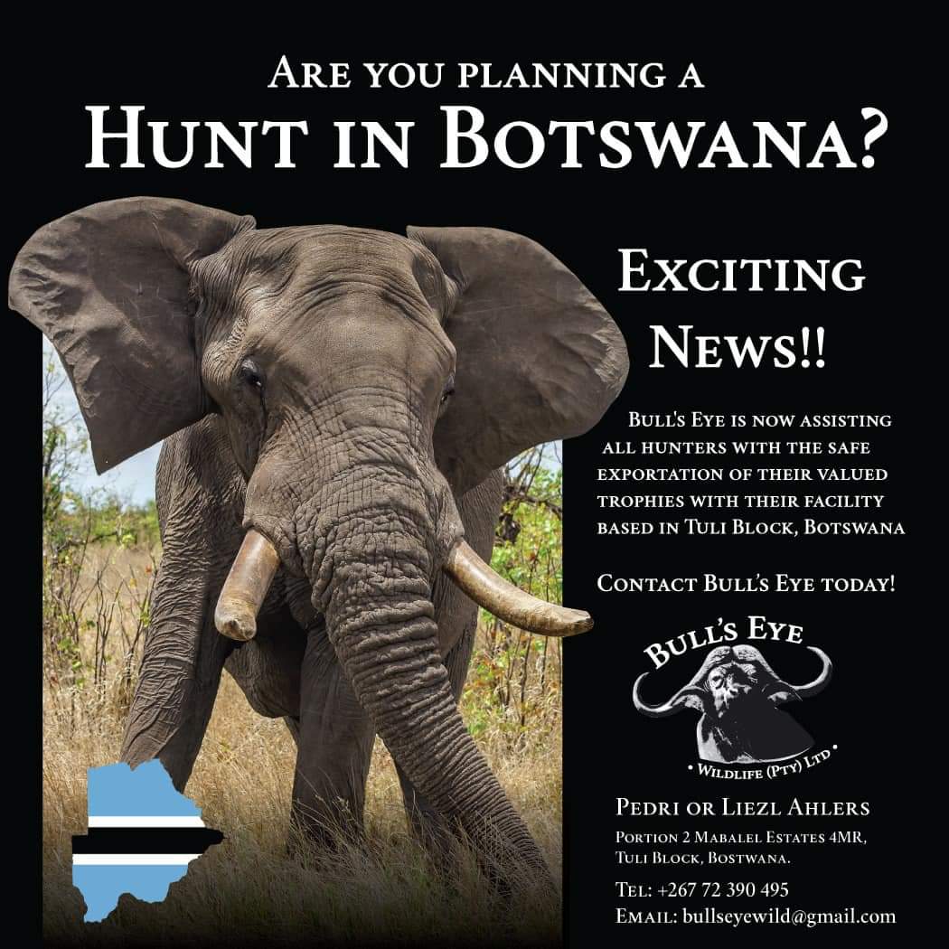 Elephant HUNTING 
in Botswana 
still to book 
😡😡😡😡😡😡😡😡
#BanTrophyHunting 
#LetAfricaLive