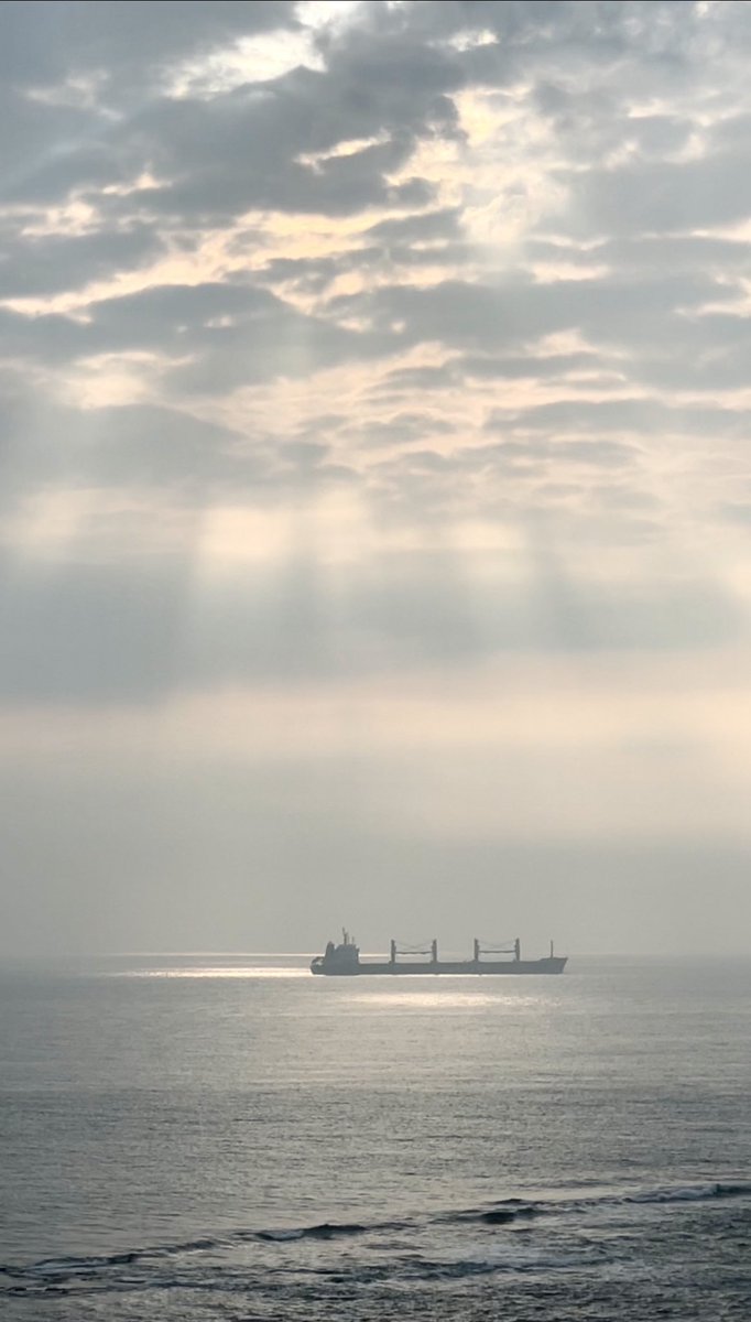 Search lights going on in the boat yard outside 😂 #whitleybay - but #dolphins have been spotted in Blyth heading our way, so by 7am ish in Whitley Bay and #Cullercoats keep a look out, heading south.