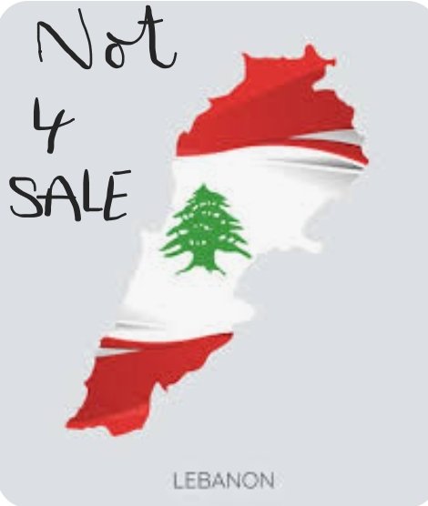 ليه ما منوحد الساحات الداخلية بوج خطر وجودي متل دمج النازحين؟
ليه لما يكون فيه خطر حقيقي ووجودي لا بتهز منازلكم ولا ضمايركم  وبصير  لا بدكم ولا فيكم؟ 
ليه الصمت لما الوطن والعيلة بخطر هالقد كبير؟ 
ما بتحسوا حالكم معنيين او شو؟  #لبنان_مش_للبيع  او راضيين ع البيعة؟ 
#فاجئونا_بالرد