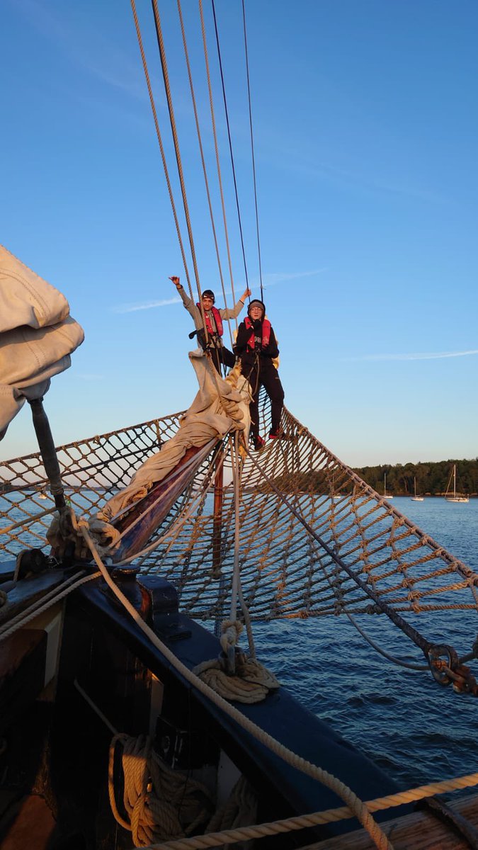 Mayesbrook Park School PE tweet media