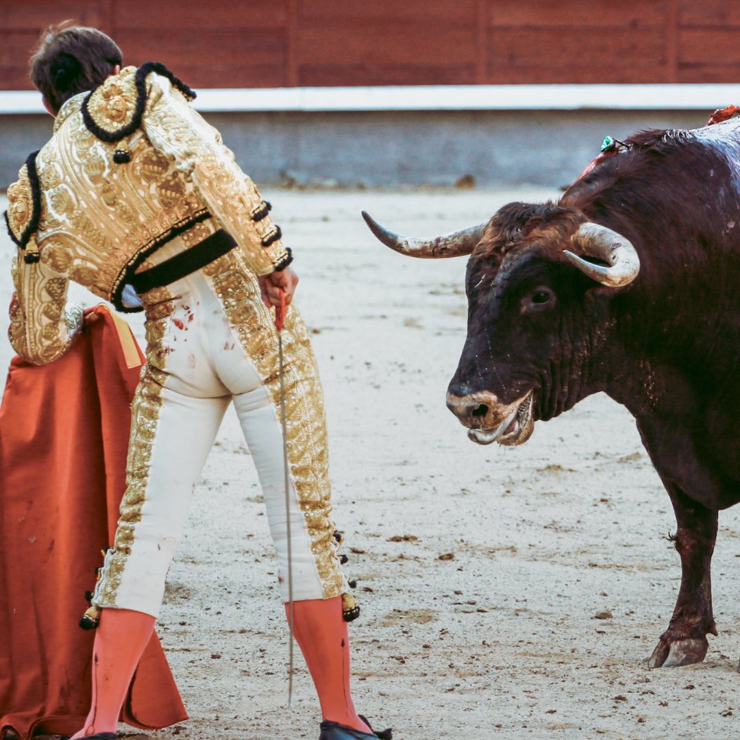 🇪🇸 Big news for animal rights! Spain scraps top bullfighting prize, a check of €30,000, for bullfighting. This decision reflects a significant shift in Spanish culture, where bullfighting has become a debated topic in recent years. Will this be the end of bullfighting in Spain?…