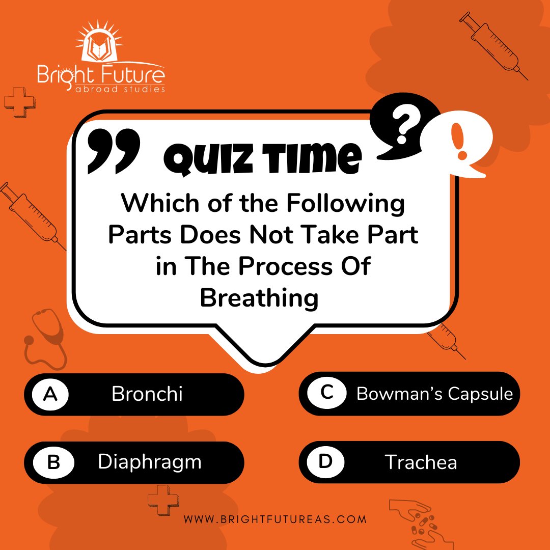 Test your knowledge about the respiratory system!

Can you identify the part that does not take part in the process of breathing?

(a) Bronchi
(b) Diaphragm
(c) Bowman's Capsule
(d) Trachea

Leave your answer in the comments below!

#BrightFuture #AbroadStudies #Biology