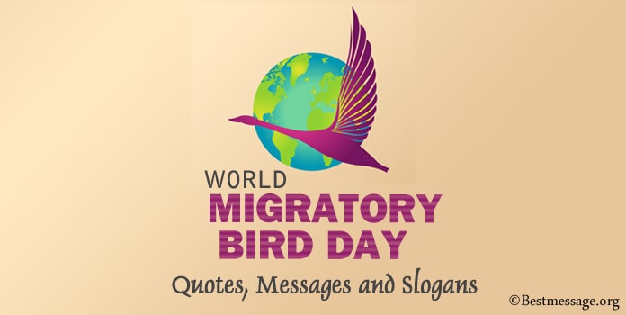 World Migratory Bird Day Messages and Slogans

bestmessage.org/migratory-bird…

World Migratory Bird Day Messages, Save birds Quotes and Wishes You Can share on This Special Day. Unique Instagram captions for migratory birds.

#MigratoryBirdDay #MigratoryBirdDaySlogans