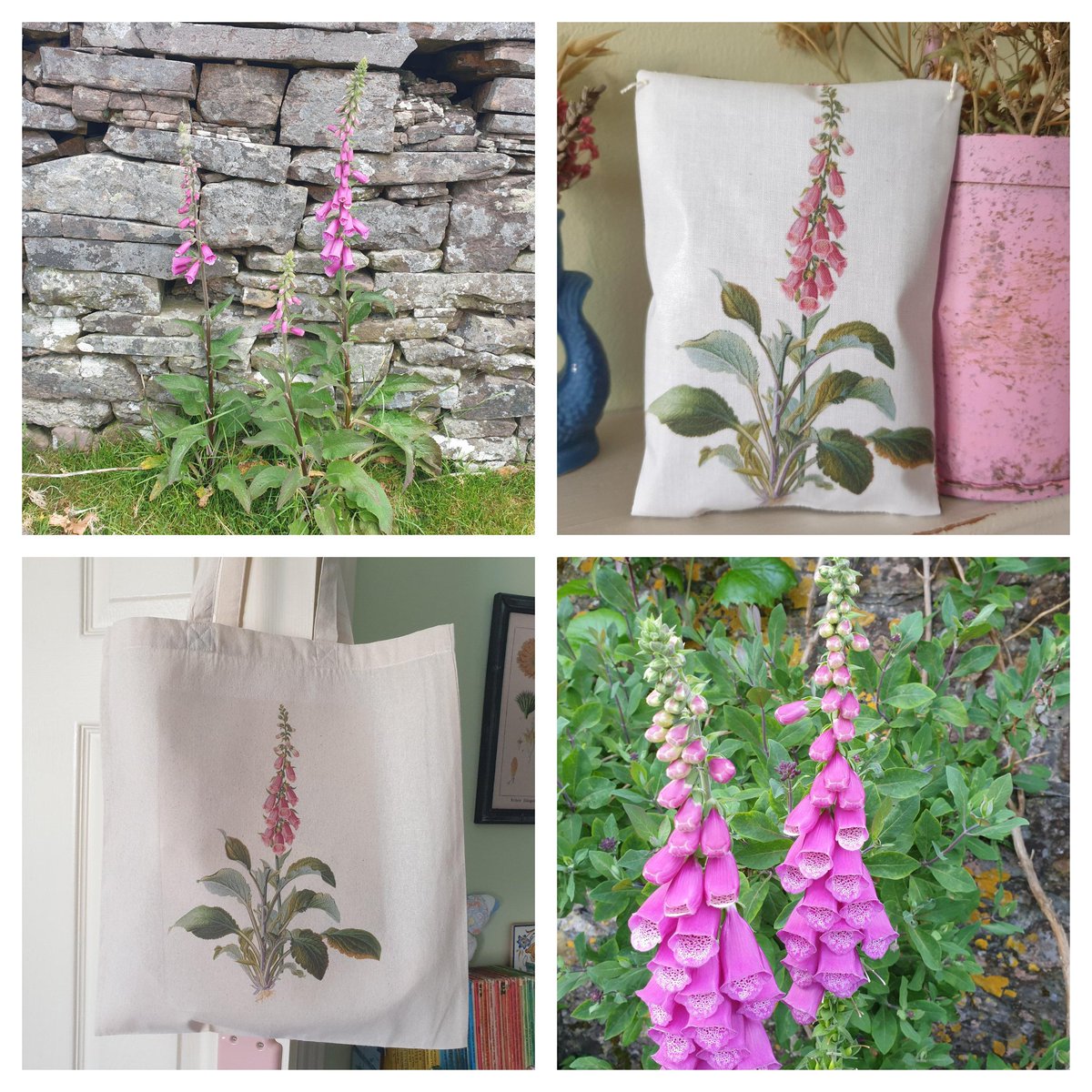 The Blueberry Patch tweet media