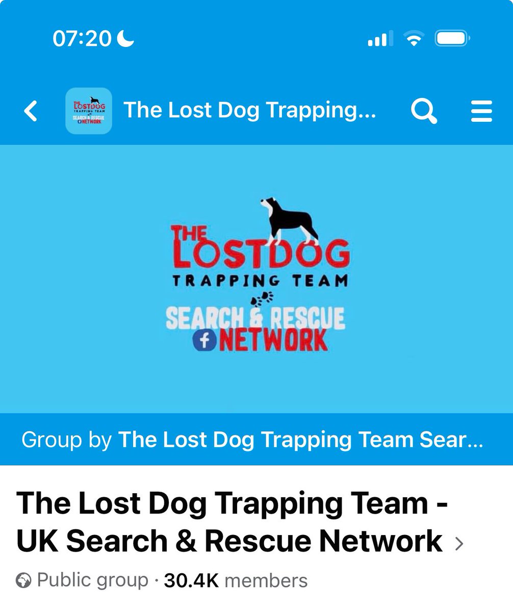 carolineinscot's tweet photo. @ruskin147 I’m so sorry to read this - ask people not to chase or call, just to let you know. Drone SAR and Lost Dog Trapping Team will help and offer amazing advice. Also register her on Dog Lost - really important. Desperately hope you get her soon x https://t.co/tlx9eqHlUi