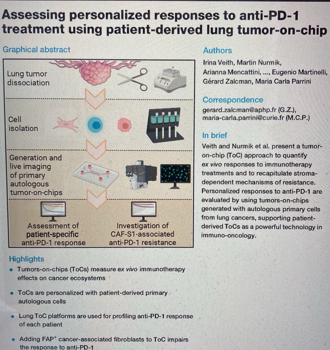 Very proud to share this 7-years adventure: Lung cancer on chip to approach a predictive tool for immunotherapy in a patient-derived ex-vivo reconstitued lung cancer miroenvironment ⁦@institut_curie⁩ ⁦@CancerParisNord⁩ ⁦@hopitalbichat⁩ ⁦@CellPressNews⁩