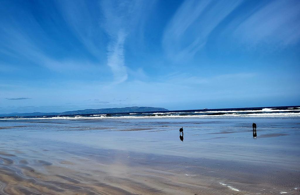 Yesterday morning at Portstewart Strand .. just perfect 👌 👍🏾 🥰