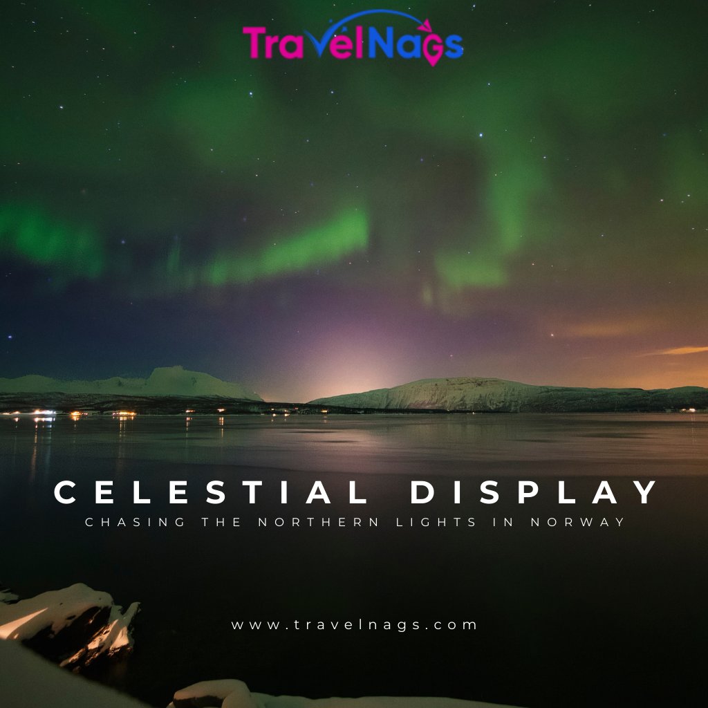 Embark on a journey of celestial wonders as we chase the elusive Northern Lights in Norway! 

#norway #norwayhike #norway2day #norwaytravel #norwaynature #norwaytourism
