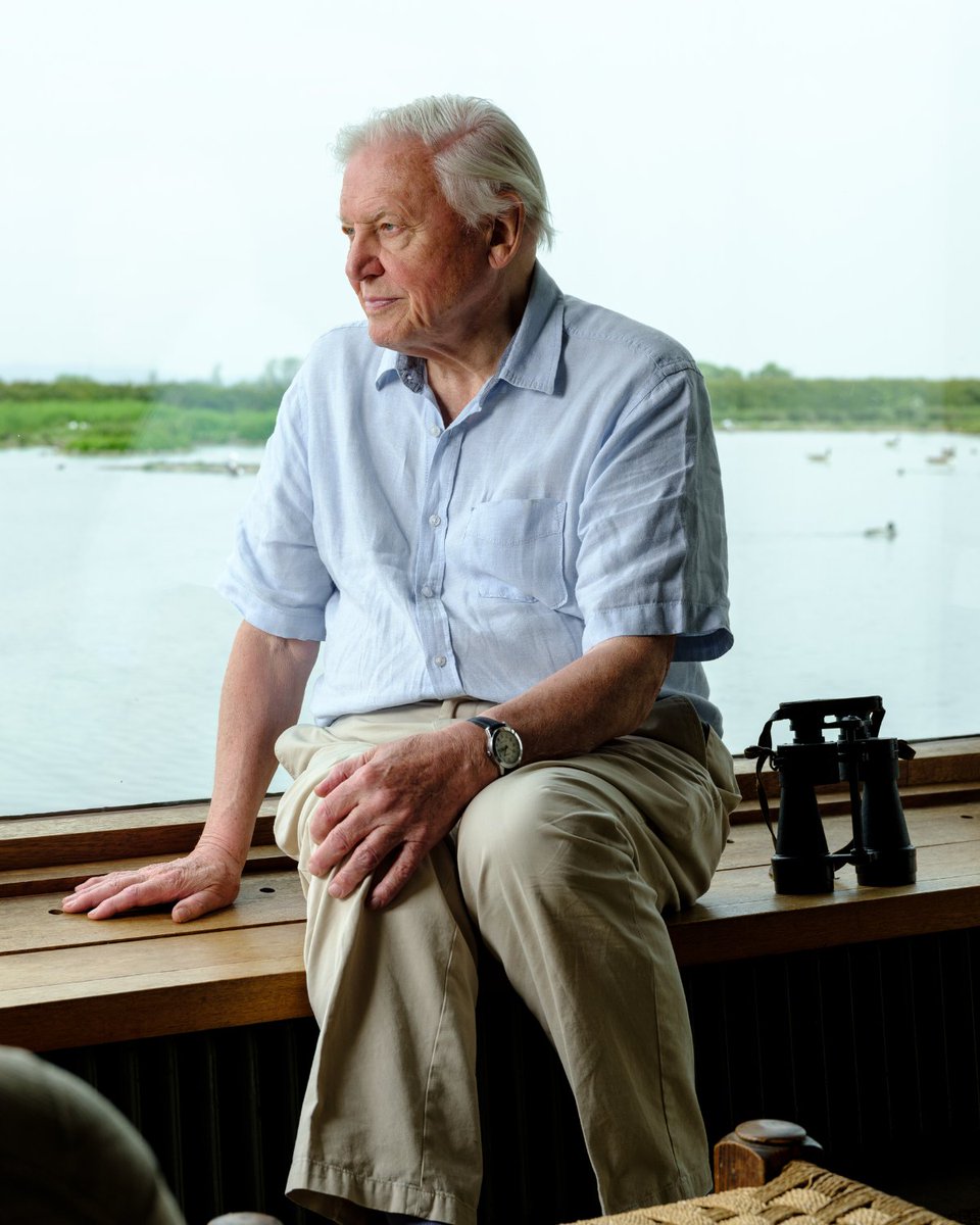 Happy birthday to a true legend of conservation! The one and only Sir David Attenborough turns 98 today. Thank you for continuing to inspire us, Sir David 💚