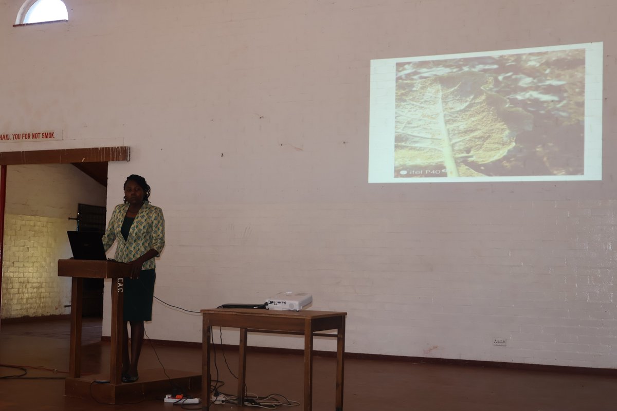 #AgroecologyResearch supporting agroecology research in Colleges of Agriculture in Zimbabwe. Final year students #Chibhero supported by @RAIZ_project presenting their various research projects at their college #ScientificEvidence production is key in agriculture #Education5.0