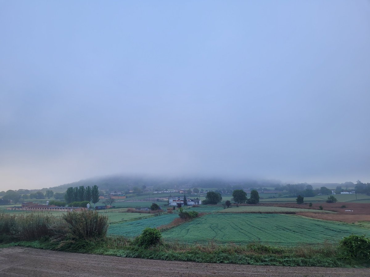 #Bondia des de #Tona dimecres desprès de la pluja d'ahir, amb 17mm, boira i 9°C
@SoldadoTonyi @rosa_tanti @SoniaPapell @eltemps_rtve  @SergiLoras @alcantara_alb 
@rbartolisala @TomasMolinaB 
@Monica_Usart @AlfredRPico @meteorac1 #eltempstv3 @gemmapuigf @tempsdemeteo