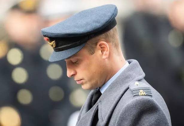 One of the ways Harry negatively impacts invictus as patron is his personal vendettas with ex military personnel. The suggestion that it's not 'real service' unless it's frontline service is offensive to anyone who has worn a uniform and served their country in whatever…