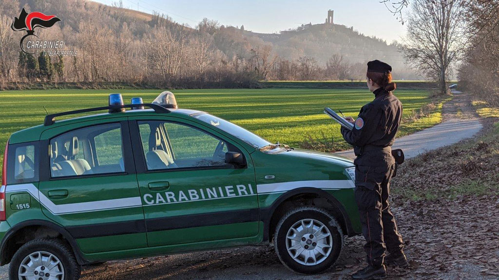 Il Dl Agricoltura rischia di smantellare i Carabinieri Forestali, togliendo loro la centralità ambientale e la missione internazionale. Privare l'ambiente di sentinelle è un grave errore, un regalo ai criminali ambientali. #CarabinieriForestali #simccfvg #Ambiente