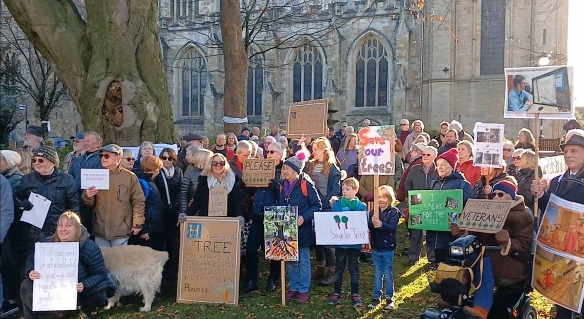 @greenbeltsal @riponcathedral @BrianMcHugh2011 @churchofengland And cutting down eleven mature trees, including a veteran beech, in the process. 🙏 @churchofengland @riponcathedral @thestrayferret @YorksBylines @riponcathschool @TheTreeCouncil #SaveOurTrees
