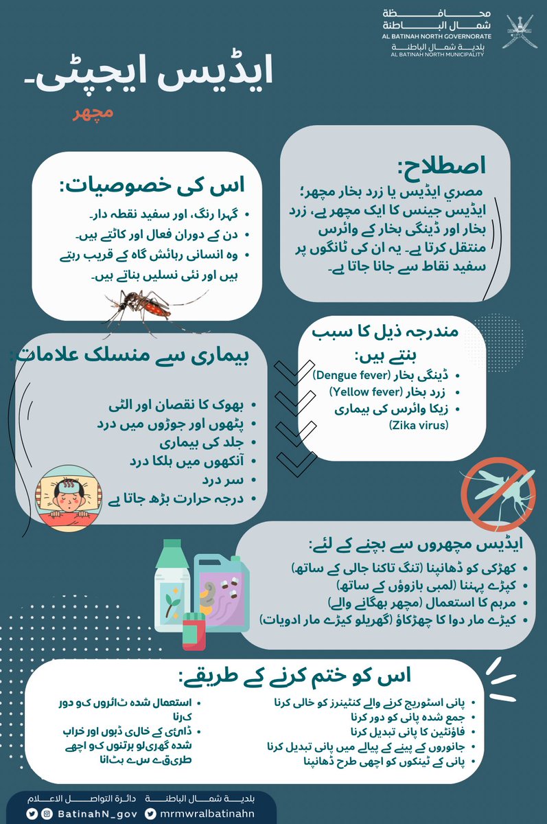 لأن #وعيك_وقاية ! تجنب مسببات البعوض وتعرف على طرق الوقاية .. Your awareness is protection! Avoid mosquito pathogens and learn about prevention methods .. #الزاعجة_المصرية #Aedes_Aegypti #بلدية_شمال_الباطنة