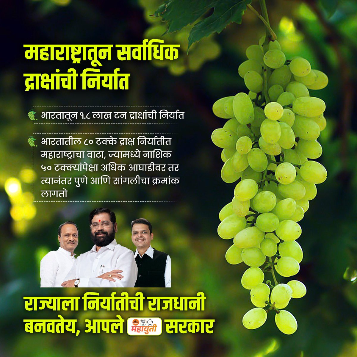 With 80% of India's grape exports coming from Maharashtra, it's clear that the state's agricultural sector is thriving. Kudos to CM Eknath Shinde and his government for creating an environment conducive to agricultural growth and prosperity.