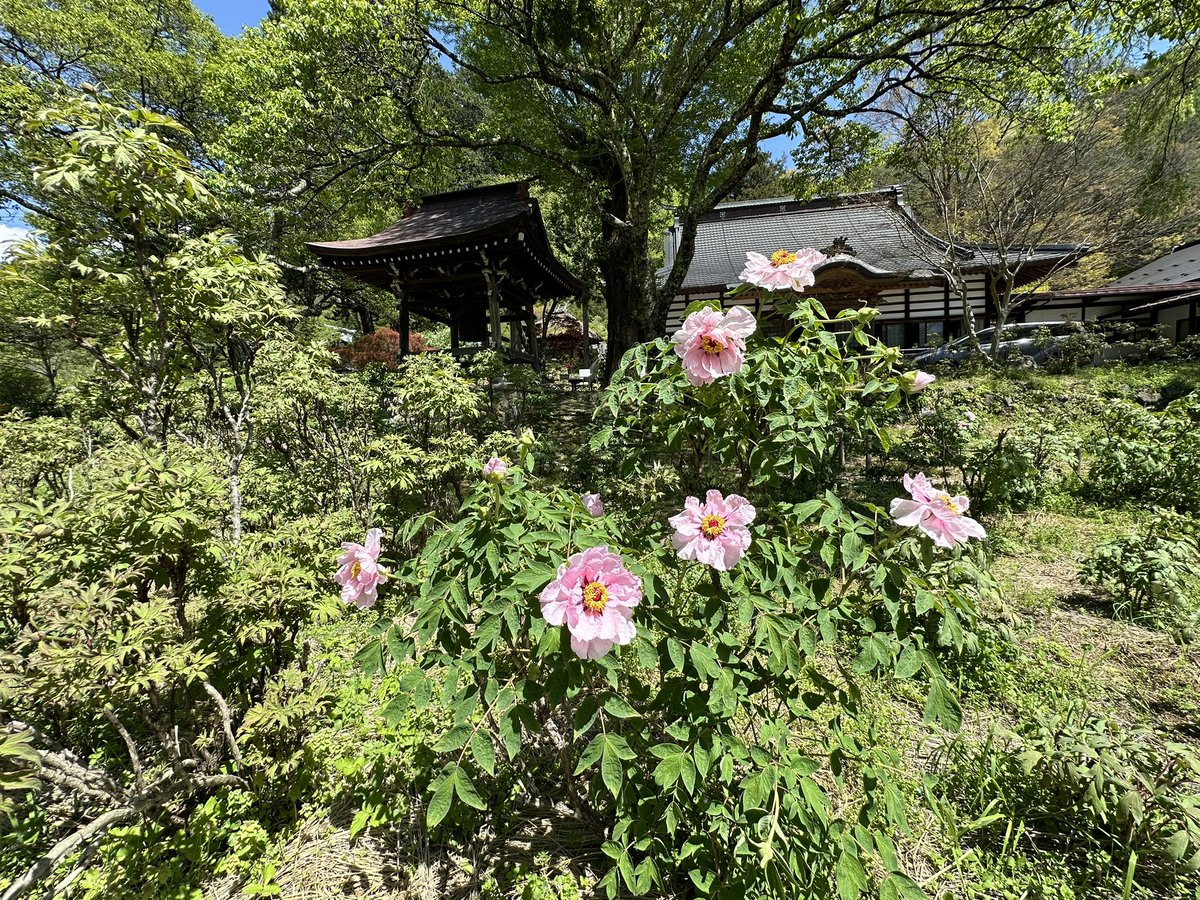 #GWを写真4枚で振り返る

奈良の薬師寺、太秦の広隆寺、京都駅に居たみゃくみゃくさまを挟んで、高遠の遠照寺。