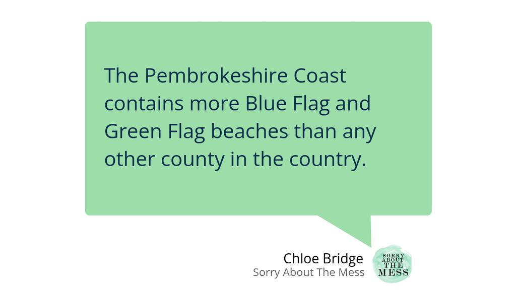 Sorry About The Mess tweet media