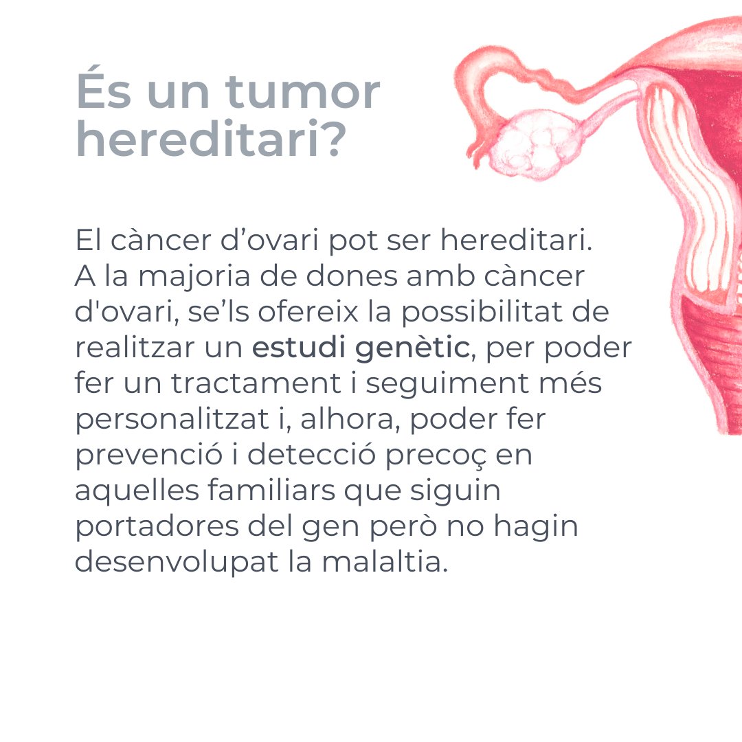 El #càncer d'#ovari és poc freqüent. Acostuma a causar símptomes poc específics i això fa que s'endarrereixi el diagnòstic i la malaltia estigui avançada quan es detecta. Les teràpies dirigides n'estan millorant el tractament i la supervivència. #DiaMundialCàncerOvari