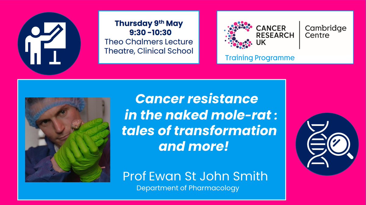 📢 Don’t miss our next Lectures in Cancer Biology talk tomorrow! Cancer resistance in the naked mole-rat: tales of transformation and more! Prof Ewan St John Smith @psalmotoxin @UnivCamPharm 🗓️ Thurs 9 May, 9:30-10:30 📌 Clinical School @CamBioCampus All are welcome!